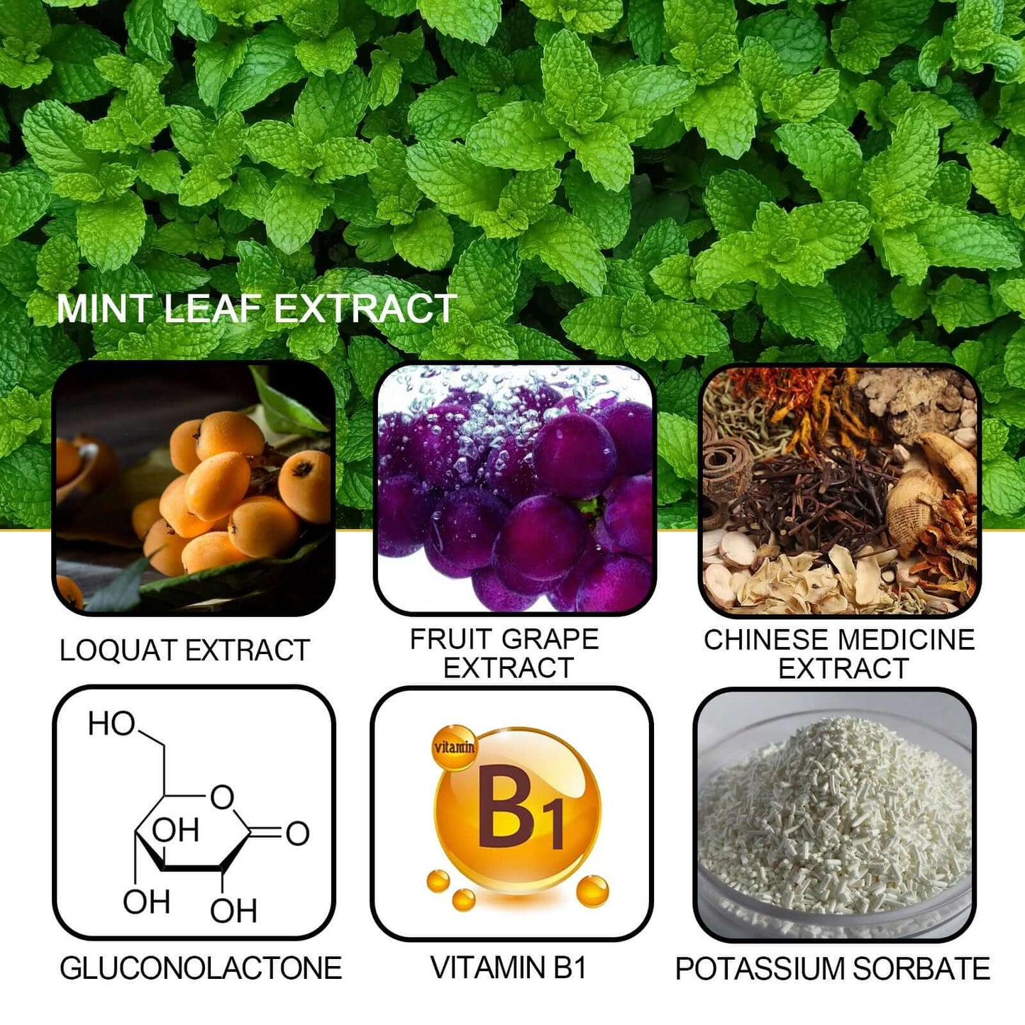 Collage of natural extracts: mint leaf, loquat, fruit grape, Chinese medicine, gluconolactone, vitamin B1, potassium sorbate.