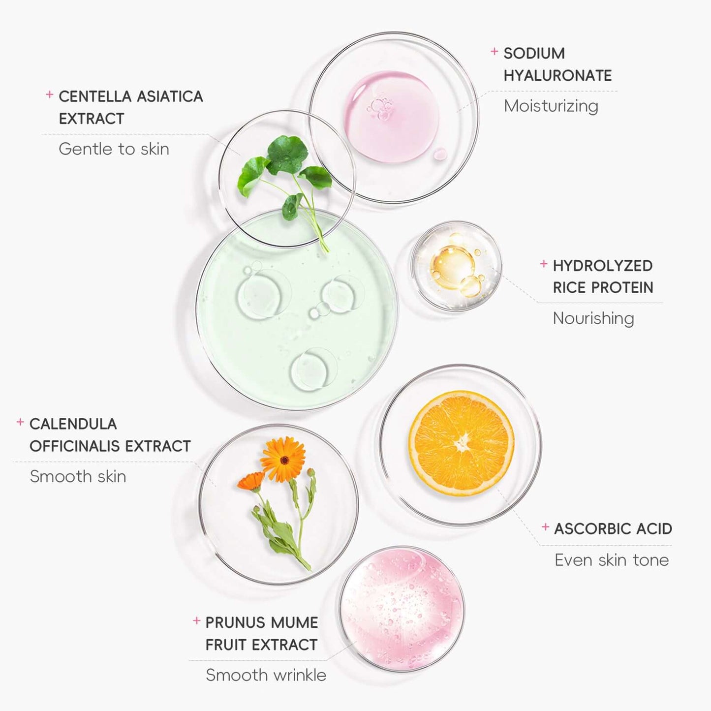 Ingredients for skincare: Centella Asiatica, Sodium Hyaluronate, Hydrolyzed Rice Protein, Calendula, Ascorbic Acid, Prunus Mume.